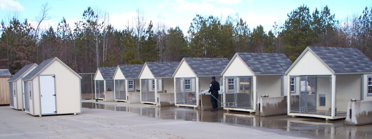 20 kennels.jpg
