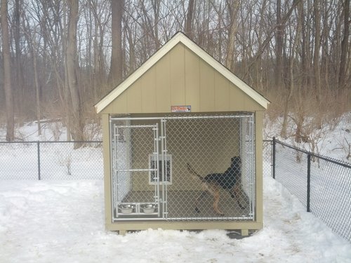 Secure Kennel.jpg